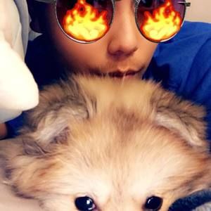 Meet your Posher, Anthony